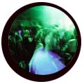Dancefloor