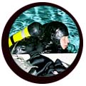 Diver