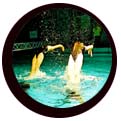 Swimmers