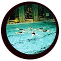 Swimmers